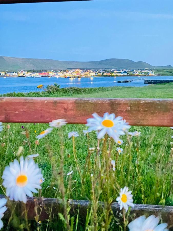 The Ferry Boat Hotel Portmagee Kültér fotó